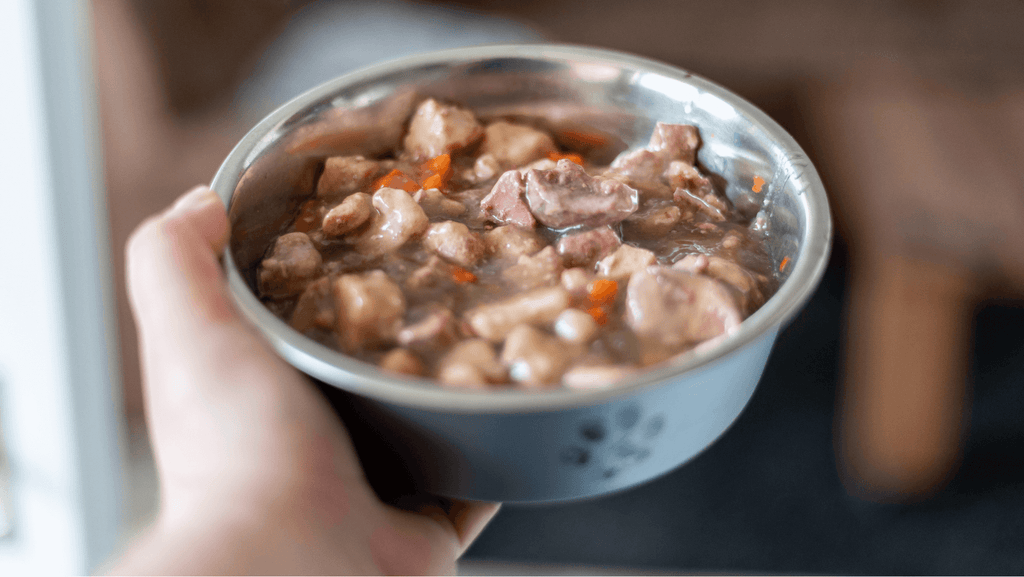 Understanding the Nutritional Value of Wet Food for Your Dog's Health