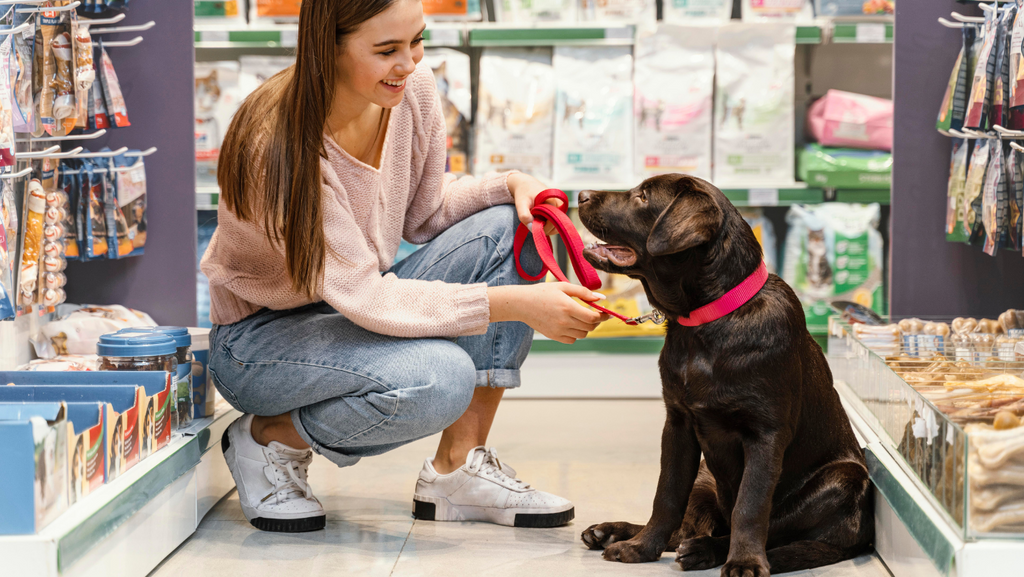 How Much Does a Dog Cost?
