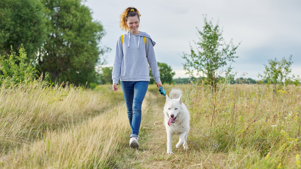 The Best Dog Walking Locations in Each Australian State