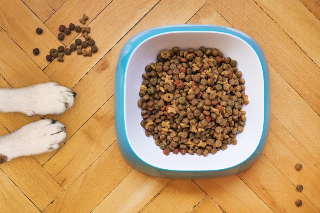 Dog choking clearance on kibble