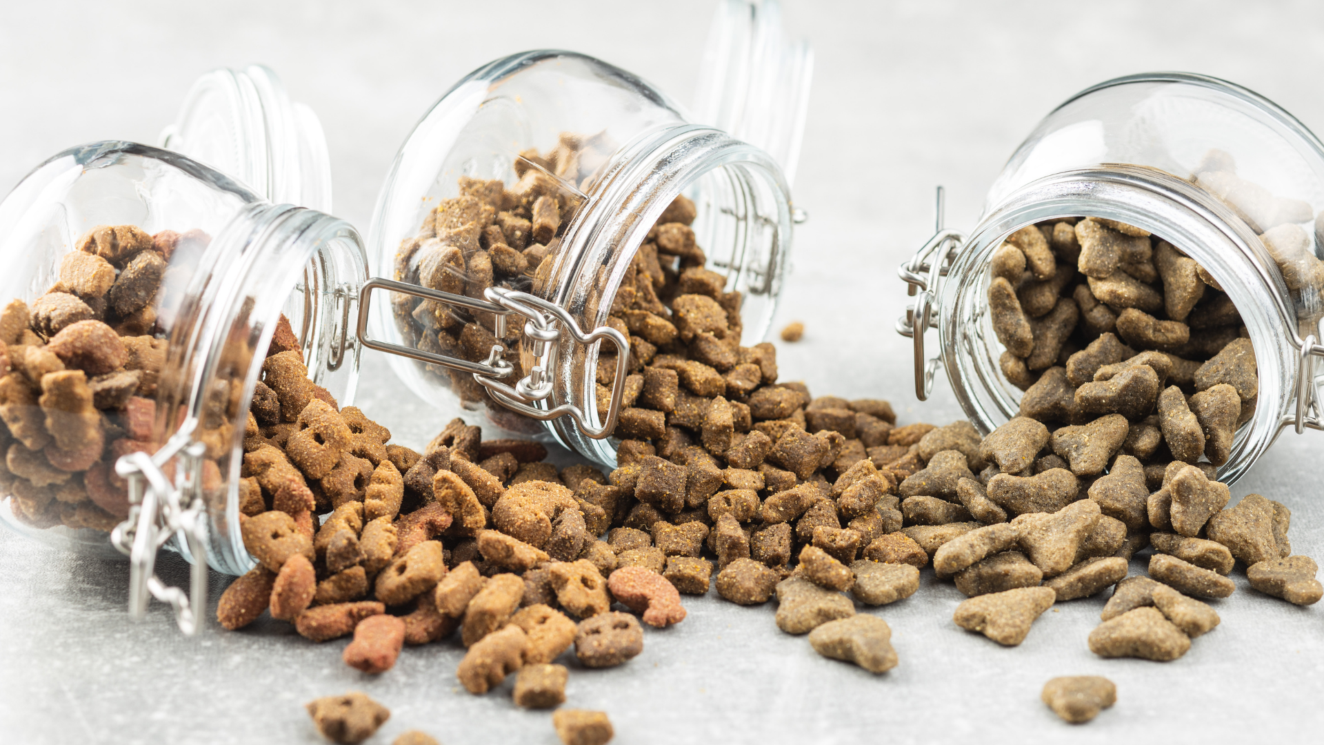 Dry Dog & Puppy Food and Kibble - Shop by Brand