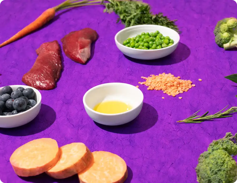 Dog Food Free Shipping to Most Places in Australia Petzyo