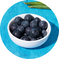 Blueberries in a white bowl