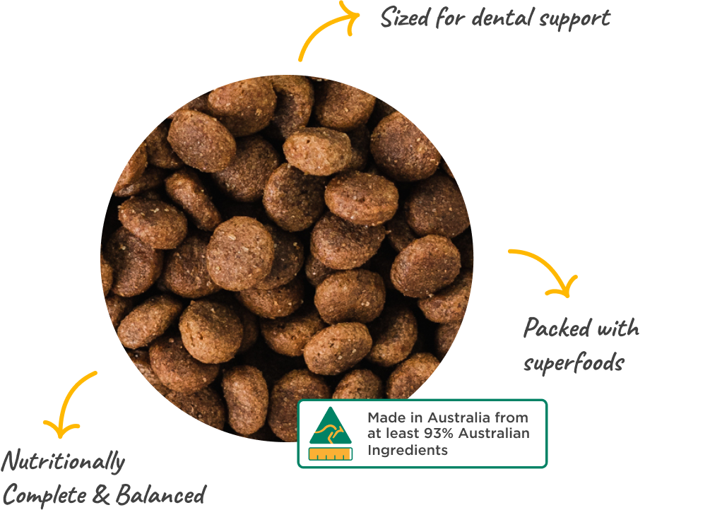 3 benefits of kibble