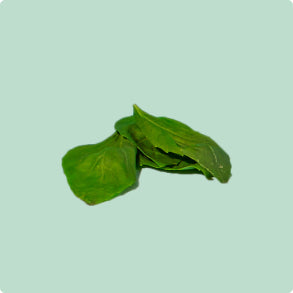 Spinach