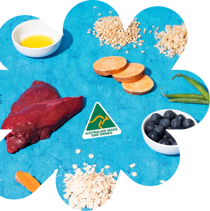 Ingredients used to make dog food
