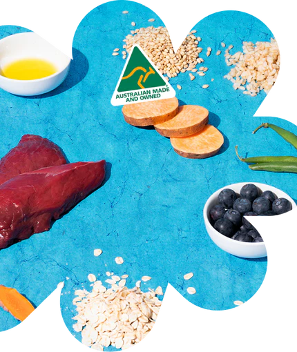 Ingredients used to make dog food