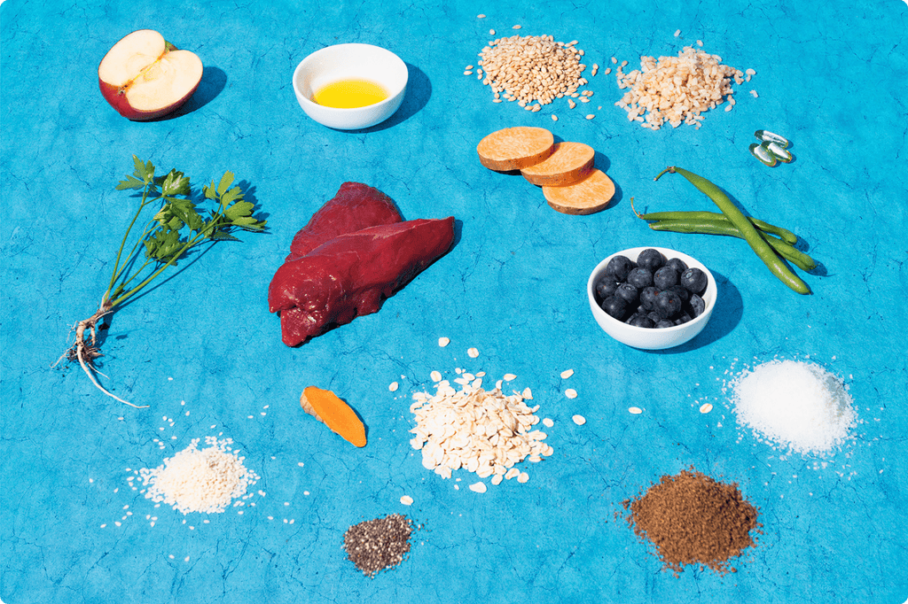 high quality raw food for dog