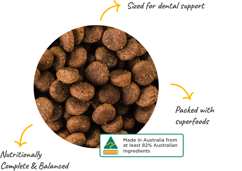 3 benefits of kibble