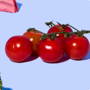 Tomato