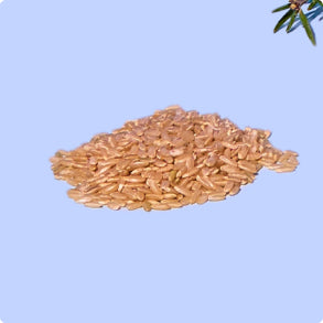 Brown Rice