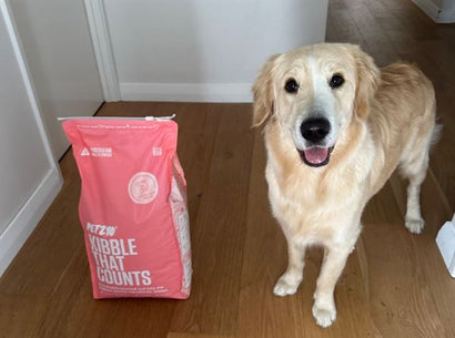 Golden retriever standing next to Petzyo's Kibble