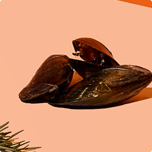 Green Lipped Mussels