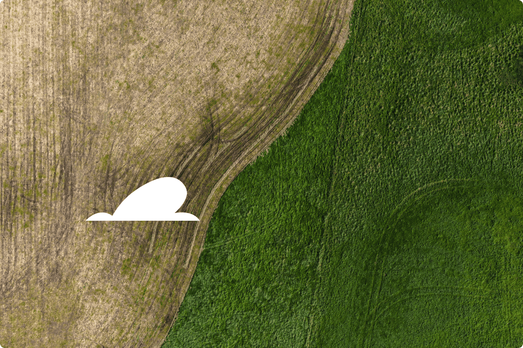 Aerial view of a field divided by dry and green areas with a cloud shape