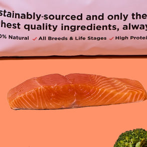 4kg of Kibble That Counts - Salmon and Ocean Fish with Green Lipped Mussels