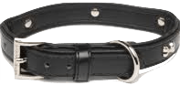 Rufus & Coco - Bones Collar Black (Small 32-38cm)