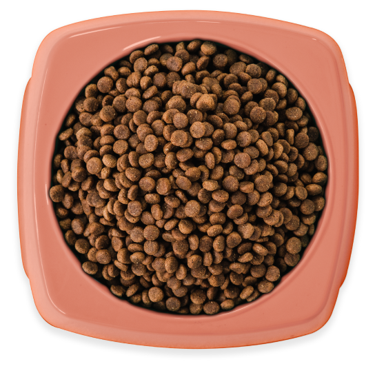 Salmon & Ocean fish with Superfood Extras