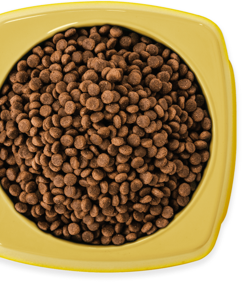 4kg of Kibble That Counts - Chicken and Turkey with Superfood Extras