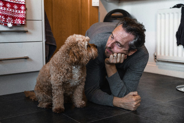 Man looking at a cavoodle