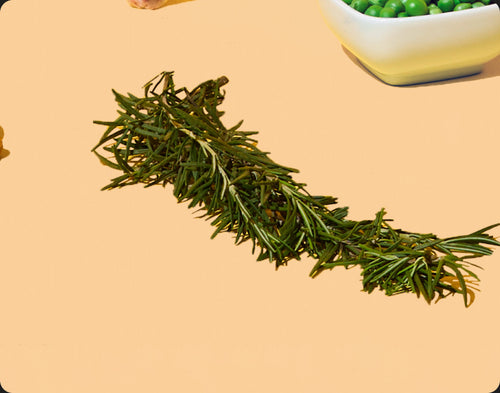 Two stalks of rosemary