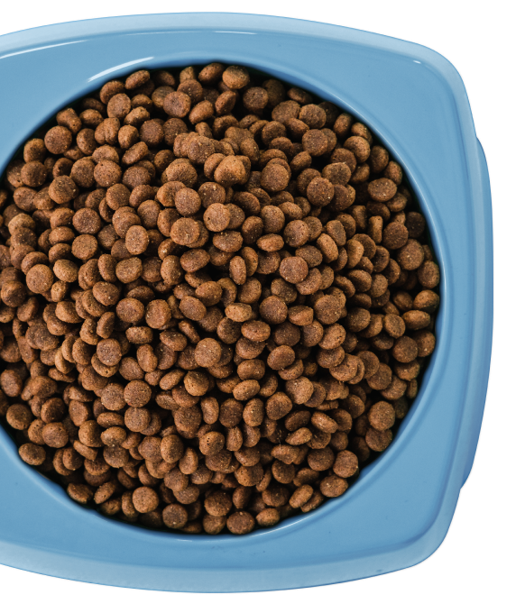 16kg of Kibble That Counts - Lamb and Ancient Grains