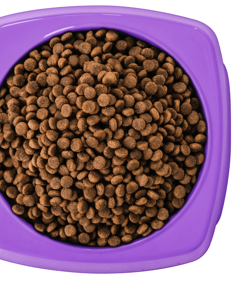 16kg of Kibble That Counts - Kangaroo with Sweet Potato and Superfood Extras