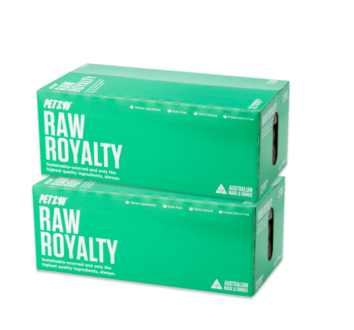 2 boxes of Kibble That Counts (Beef flavor) stacked above one another