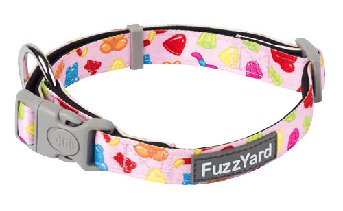 Fuzzyard Dog Collar - Jelly Bears - Multiple Sizes - Petzyo