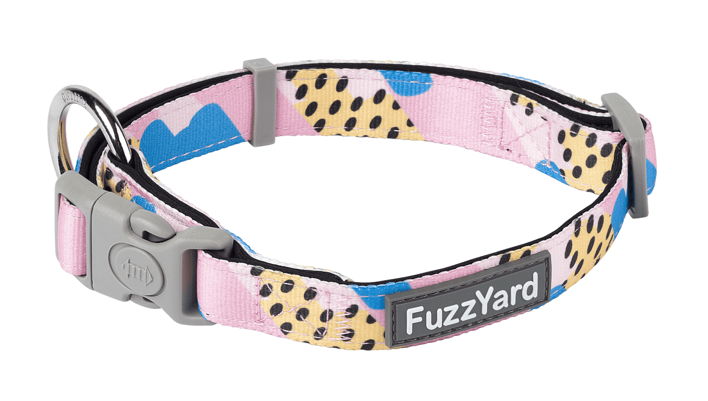 Fuzzyard Dog Collar - Jiggy - Multiple Sizes - Petzyo