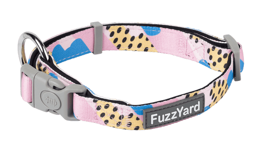 Fuzzyard Dog Collar - Jiggy - Multiple Sizes - Petzyo