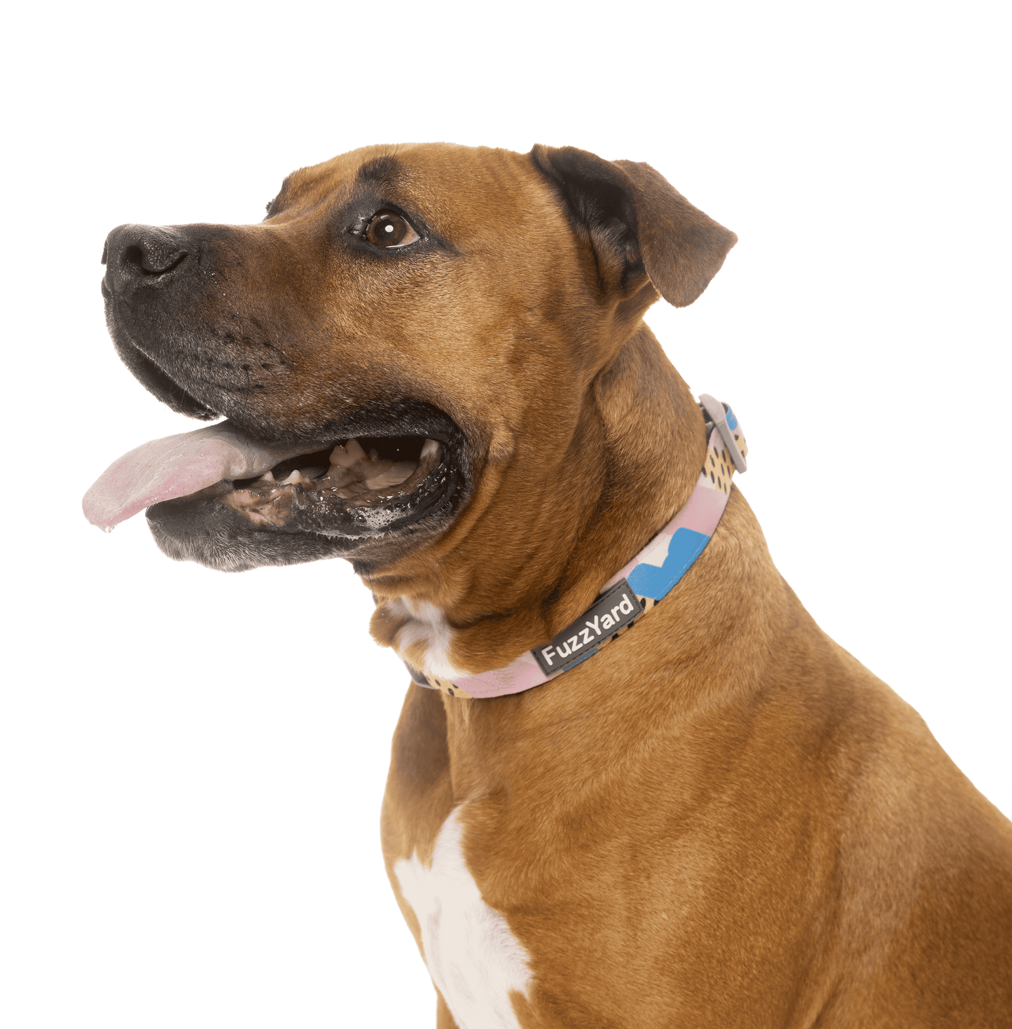 Fuzzyard Dog Collar - Jiggy - Multiple Sizes - Petzyo