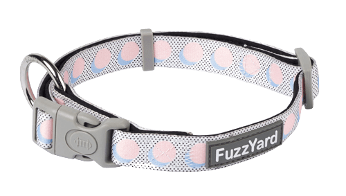 Fuzzyard Dog Collar - Dippin’ - Multiple Sizes - Petzyo