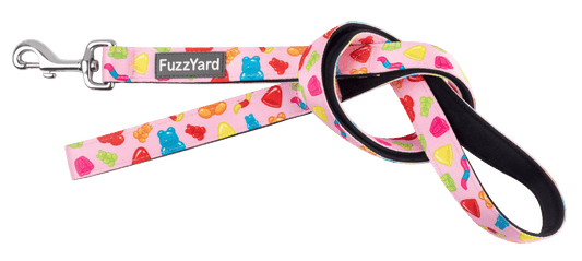 Fuzzyard Dog Lead - Jelly Bears - Multiple Sizes - Petzyo