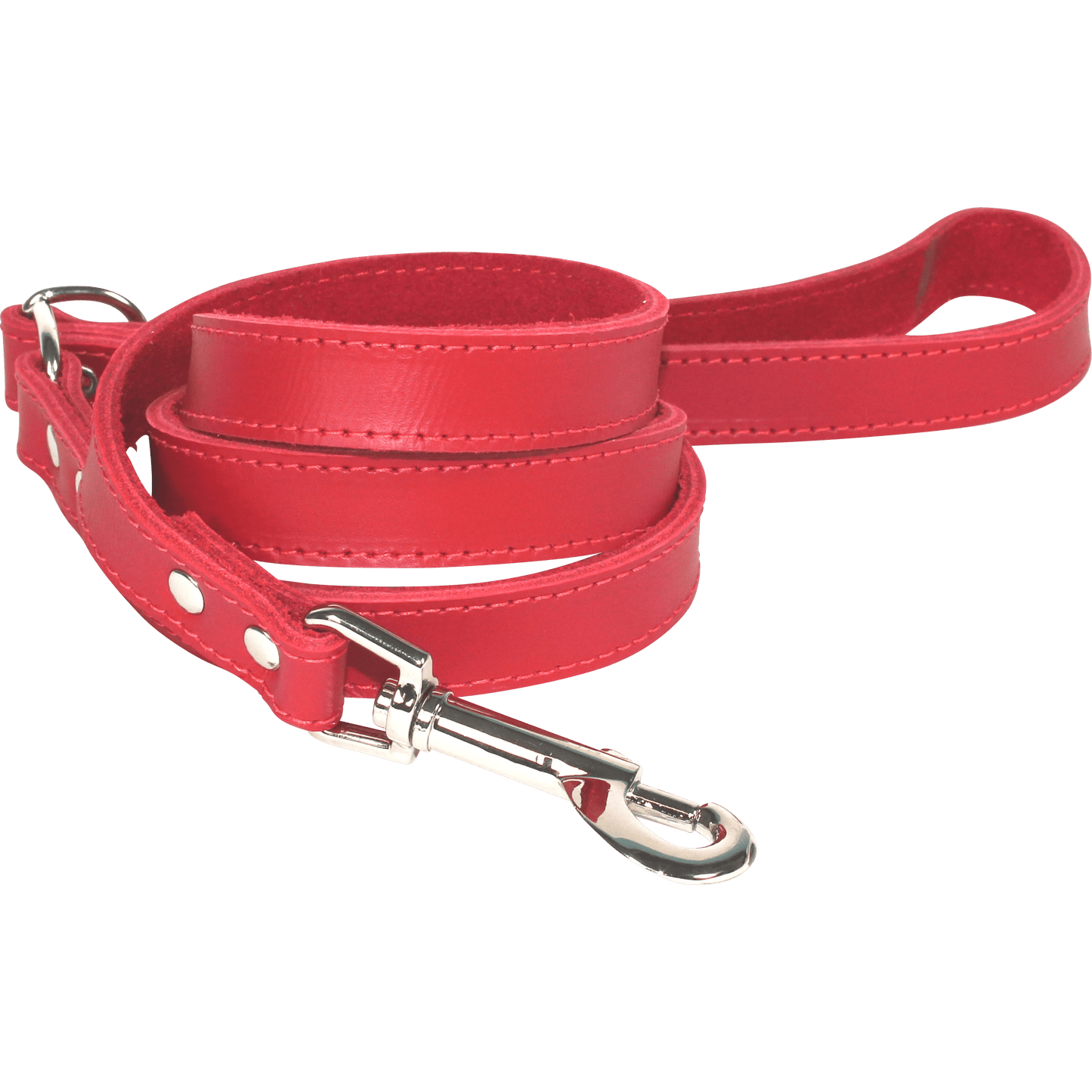 Dogue - Bold Canvas Leads - Large Size - Petzyo