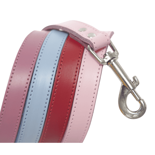 Dogue - Bold Canvas Leads - Large Size - Petzyo