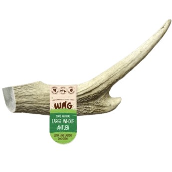 Get Wag - Large Whole Antler Horn for Dog's Teeth