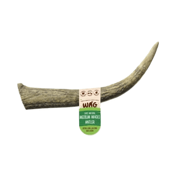 Get Wag - Medium Whole Antler Horn for Dog's Teeth