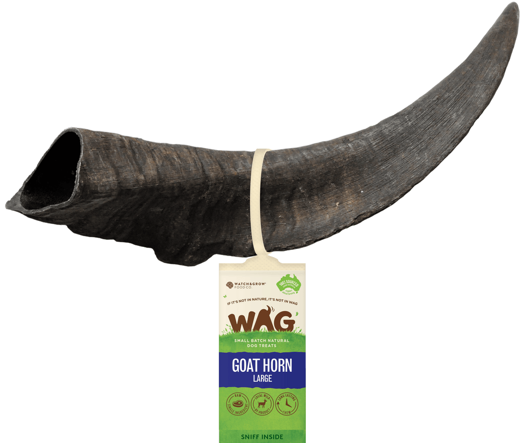 Get Wag Goat Horn Multiple Sizes Petzyo
