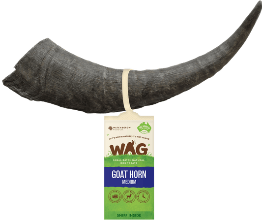 Get Wag - Goat Horn - Medium Size