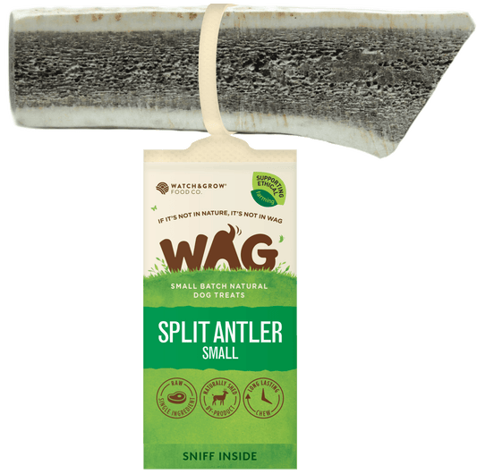 Get Wag - Split Antler Horn for Dog's Teeth - Multiple Sizes - Petzyo