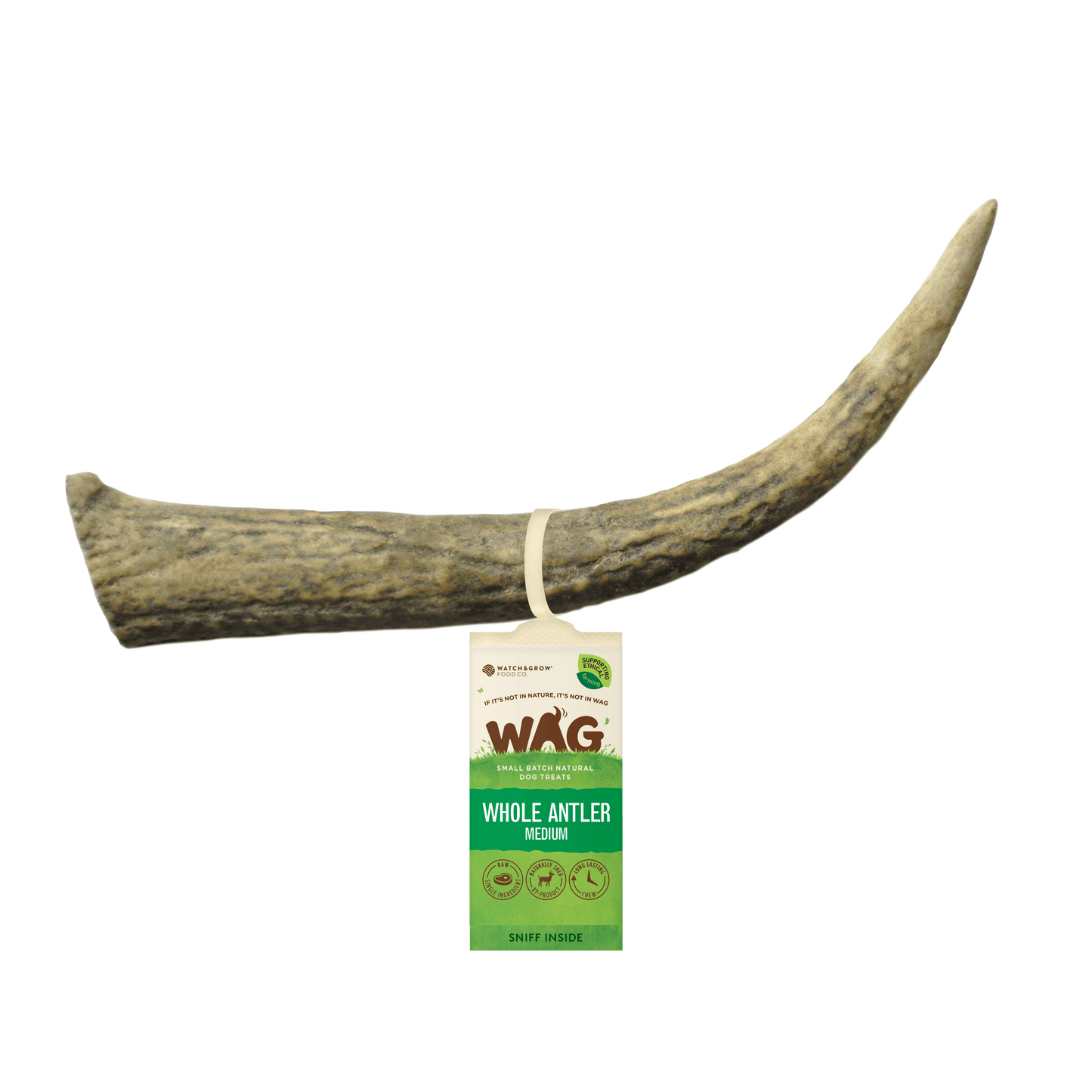 Get Wag - Antler Horn for Dog's Teeth - Medium Size