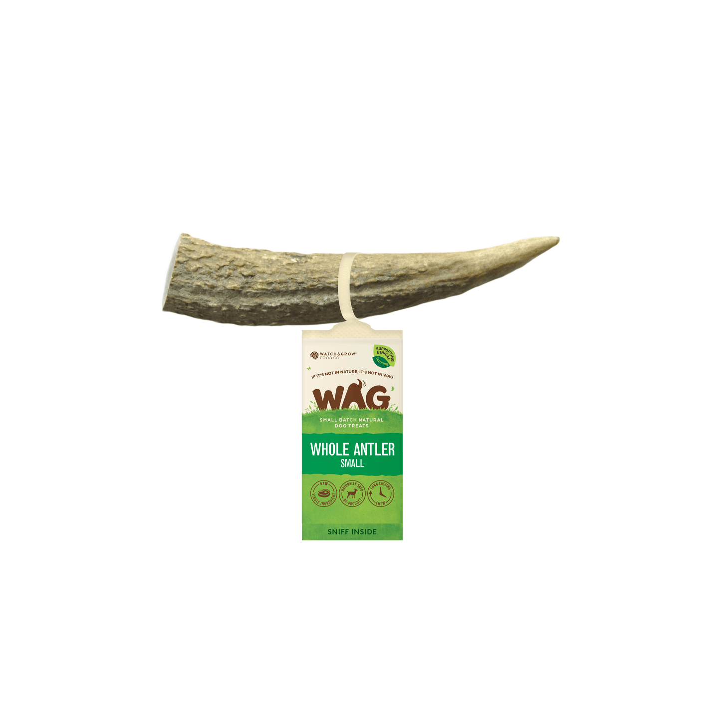 Get Wag - Antler Horn for Dog's Teeth - Small Size