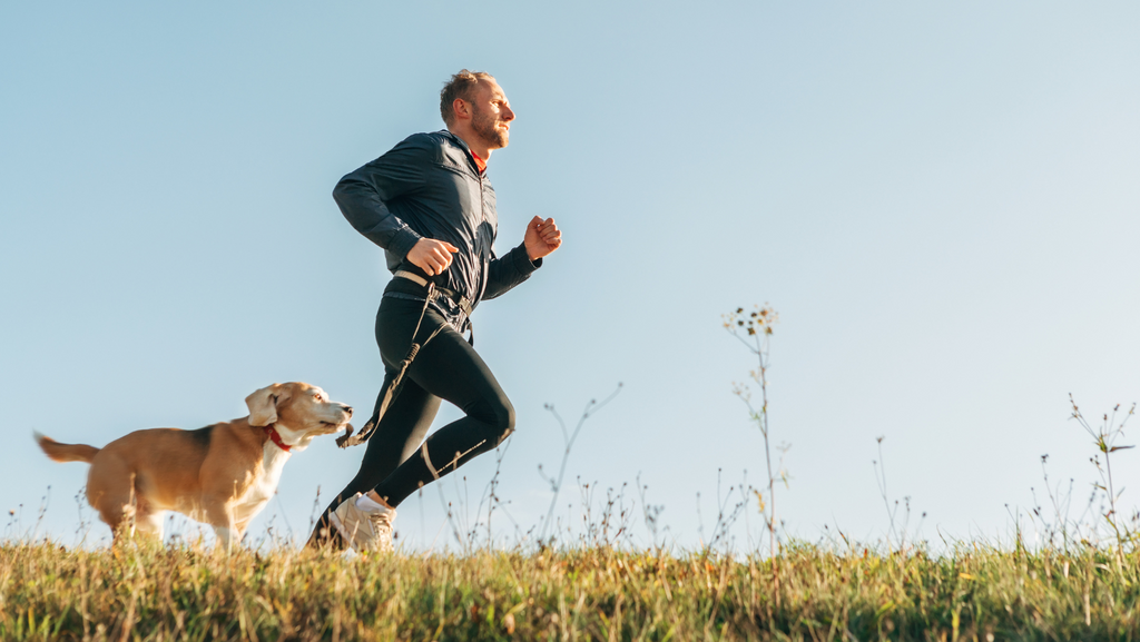 7 Exercises To Do with Your Dog