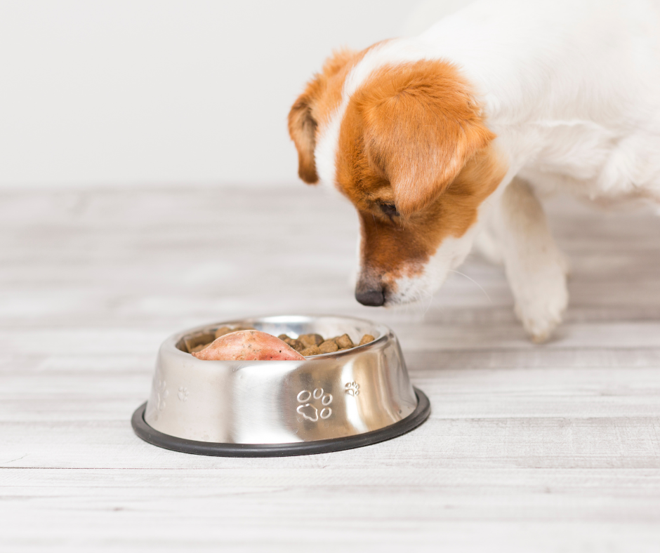 Can Dogs Eat Sweet Potatoes?