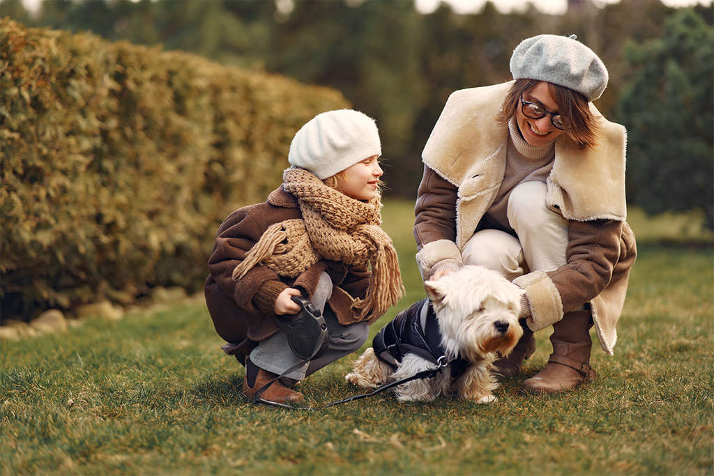 A Cold-Weather Prep Guide for Pup Parents