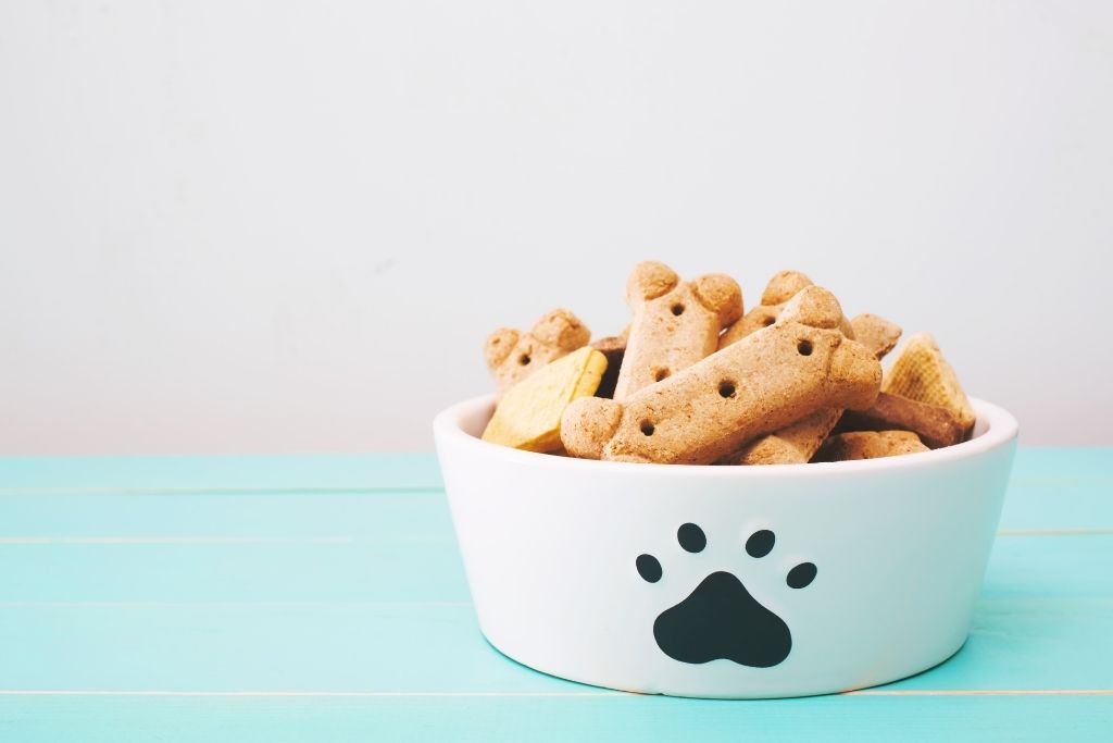 5 Simple Homemade Dog Treat Recipes