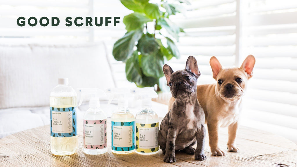 Brand Spotlight: Good Scruff- Plant Powered Pet Friendly Cleaning Products