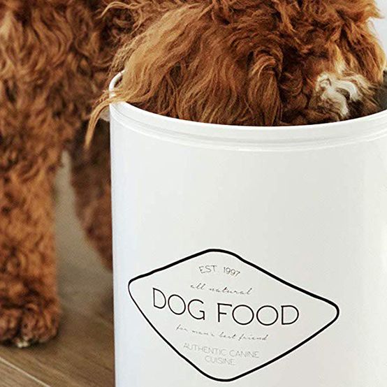 Dog Food Storage - Best Tips for Keeping Things Fresh