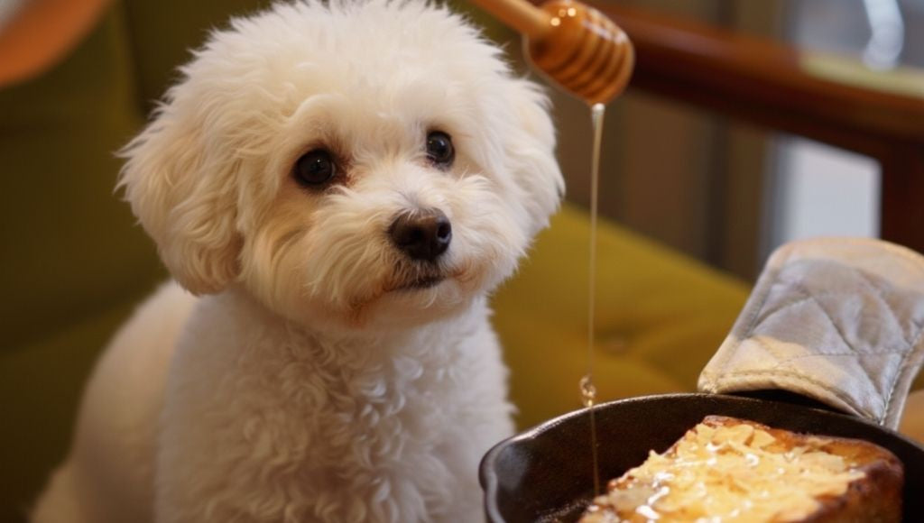 Can Dogs Eat Honey? Vet Advice for Aussie Pet Owners