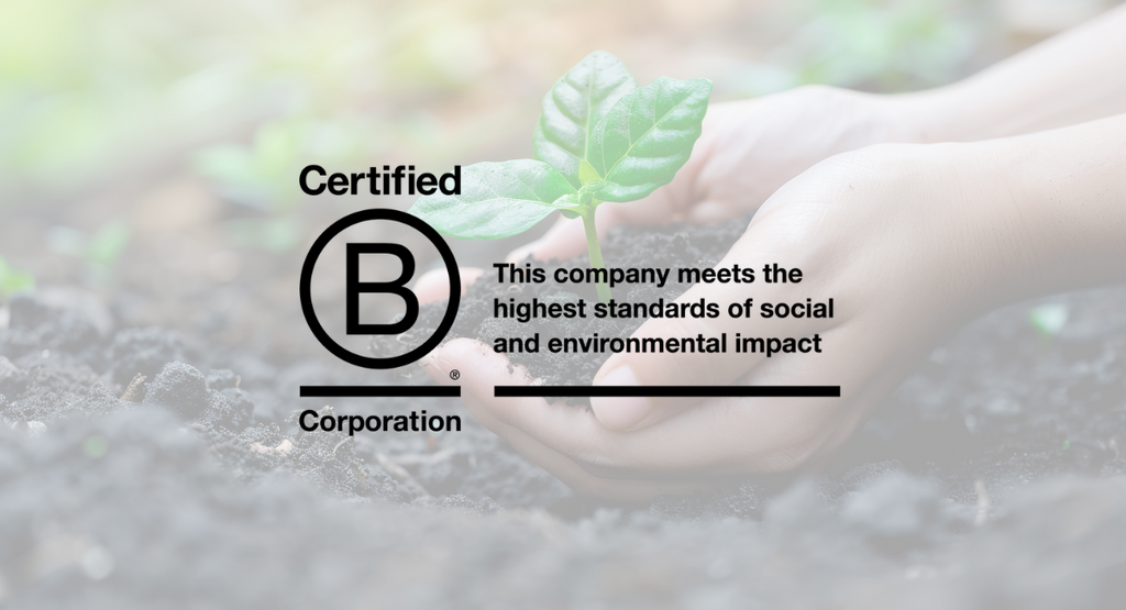 Petzyo is B Corp Certified!